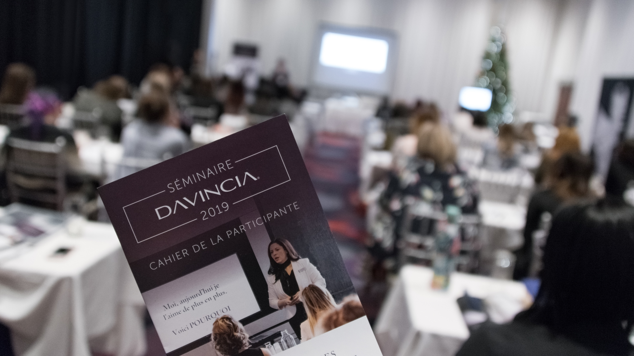 Séminaire 2019 Davincia